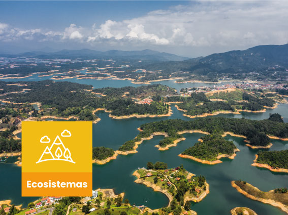 Ecosistemas