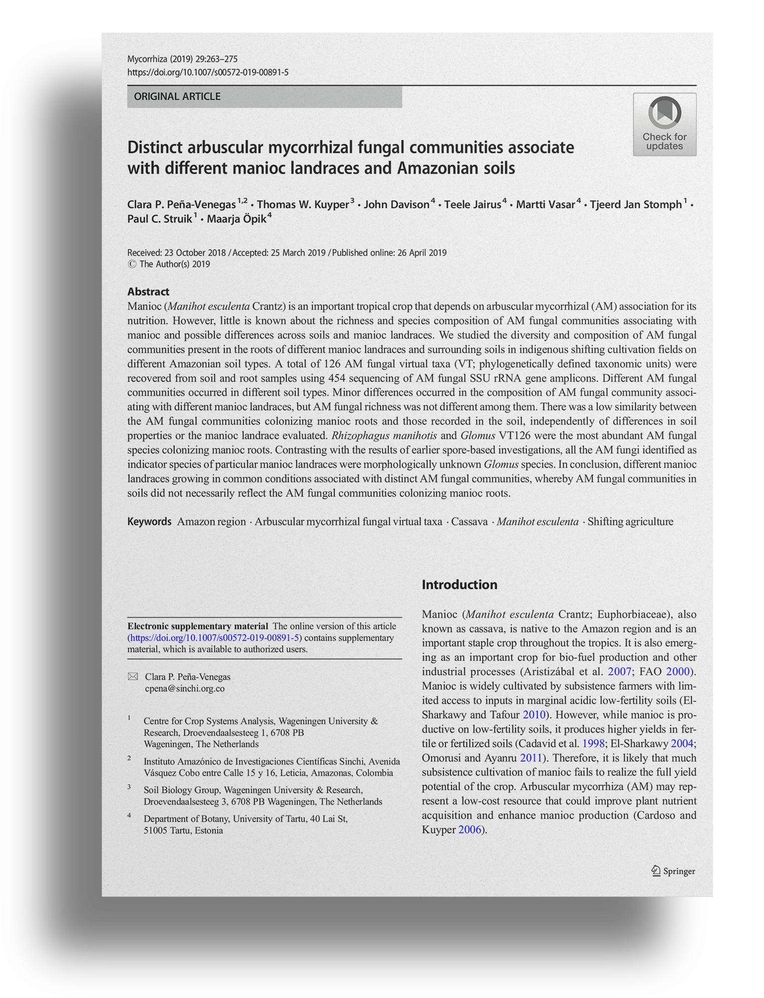 <p><b>Distinct arbuscular mycorrhizal fungal communities associate with different manioc landraces and Amazonian soils.</b><br> <br> Muestra la variación de hongos formadores de micorrizas arbusculares asociadas a yuca (Manihot esculenta) en diferentes suelos amazónicos.<br> <br> W. Kuyper, John Davison, Teele Jairus, Martti Vasar, Tjeerd Jan Stomph, Paul C. Struik, Maarja Öpik. 2019. Distinct arbuscular mycorrhizal fungal communities associate with different manioc landraces and Amazonian soils. Mycorrhiza 29 (3): 263¿275<br> </p>