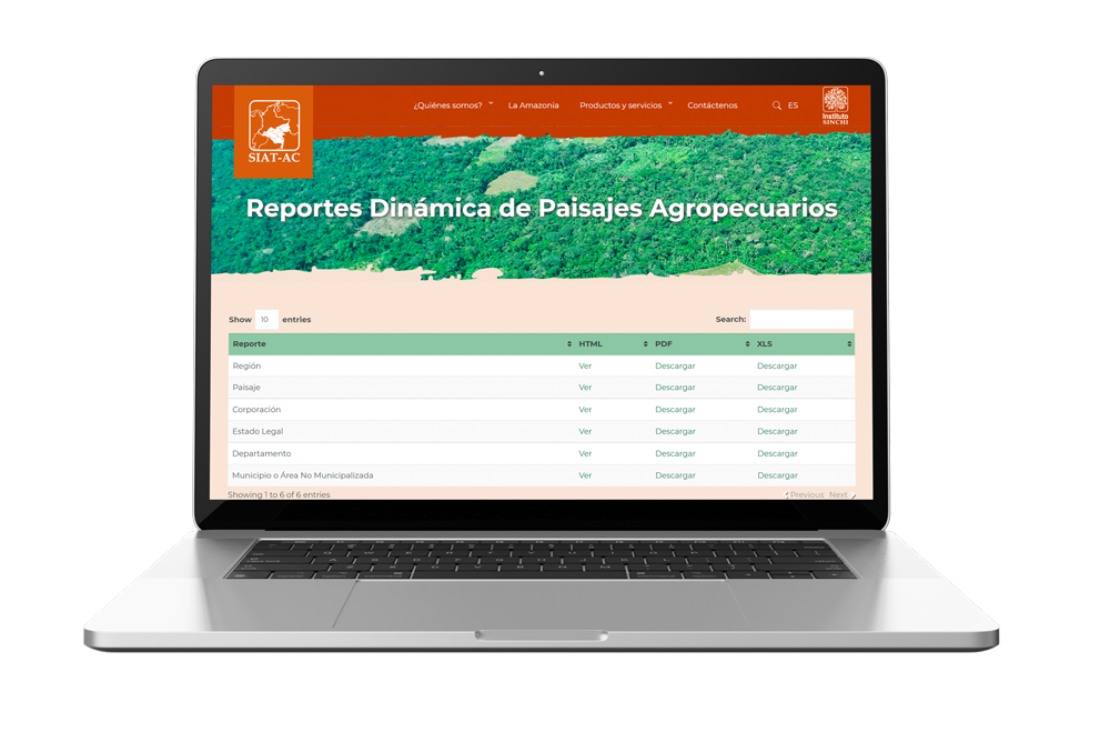 <div> <p><b>Reportes Dinámica de Paisajes Agropecuarios</b></p> <p>Ingrese al siguiente enlace consulte y descargue los reportes de dinámicas de paisajes agropecuarios:</p> </div>