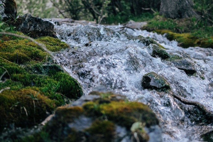 Plan Nacional de Desarrollo - Colombia Potencial Mundial de la Vida