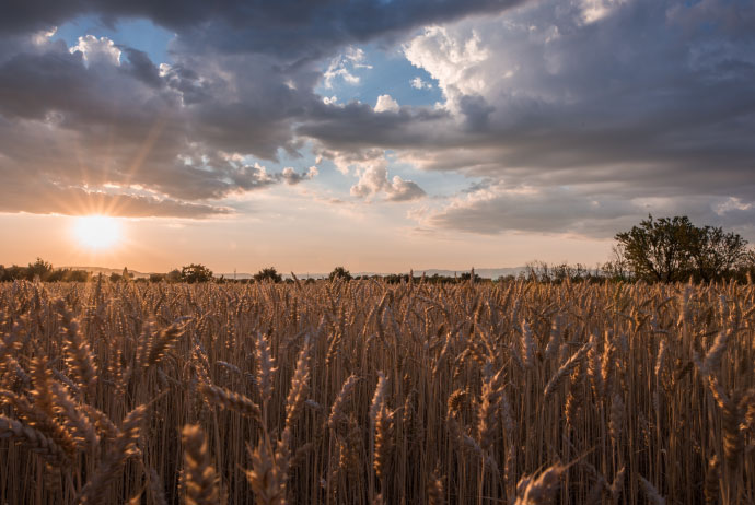 Licenciamiento ambiental
