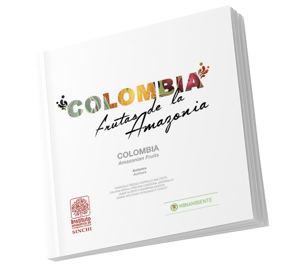 <p><b>Colombia: frutas de la Amazonía.</b><br> Son grandes los esfuerzos que como país se están adelantando para lograr una gestión más eficiente de la biodiversidad en busca tanto de su conservación como del beneficio social y económico de la población. Los frutales amazónicos, hacen parte de esta gran biodiversidad y constituyen una cadena productiva para la fruticultura colombiana; su potencialidad ha sido ampliamente comprobada y su posicionamiento en el mercado local ha trascendido la frontera de lo incipiente. El Instituto Amazónico de Investigaciones Científicas ¿SINCHI¿ con Colombia Frutas de la Amazonia a la vez que aporta información técnica y comercial, busca contribuir a la valoración que la riqueza y biodiversidad amazónica ponen a disposición de todos los colombianos para el desarrollo integral y sostenible la región.</p>