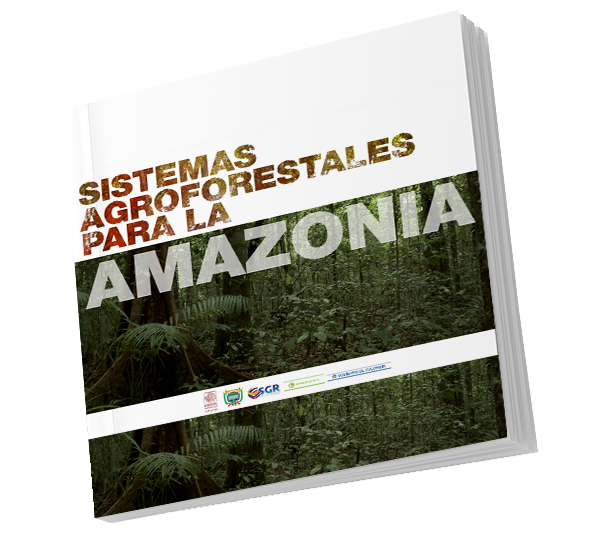 <p><b>Sistemas agroforestales para la amazonia</b><br> Los sistemas agroforestales (SAF) se perfilan como una de las alternativas más viables basada en conocimientos tecnológicos apropiados y sostenibles ecológica, social y económicamente. Por tanto, el Instituto SINCHI desarrolló 17 fichas agroforestales con el objetivo de diversificar y mejorar la producción agrícola y forestal y generar excedentes económicos en corto, mediano y largo plazo, además de incrementar la proporción de árboles valiosos en un bosque degradado y/o convertir un bosque natural degradado en una plantación excelente en la madurez, cuando los árboles plantados forman un dosel homogéneo. </p>