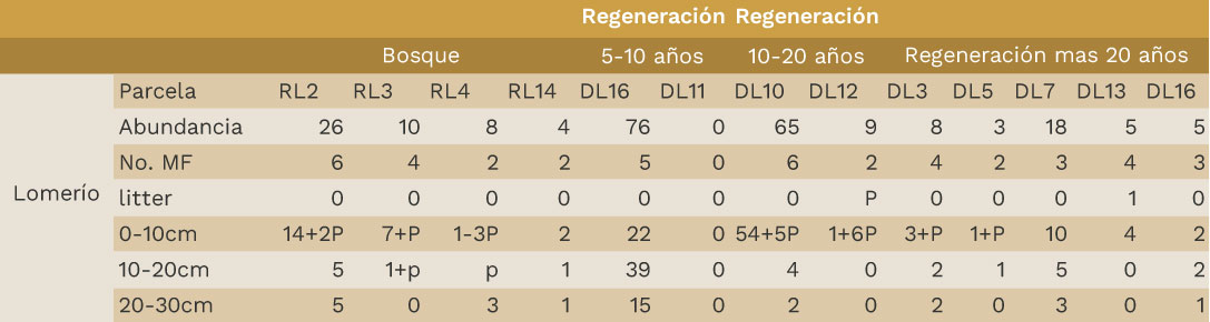 Composición de la comunidad de lombrices de tierra en suelos amazónicos