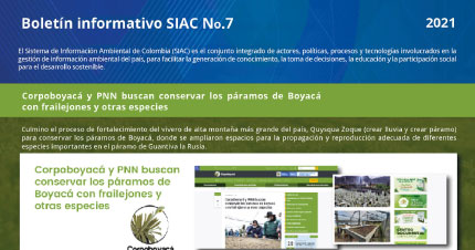 Boletín Informativo SIAC No.7