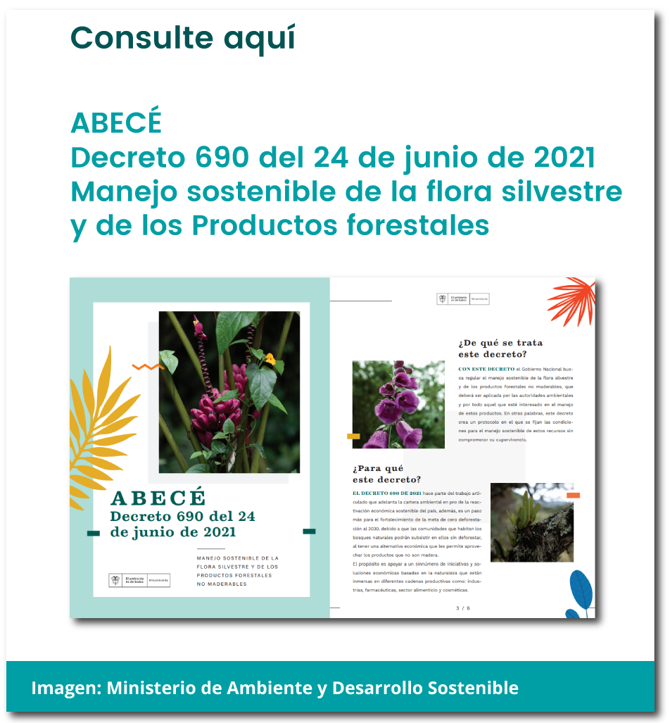 Consulte aquí el ABC del Decreto 690 de 2021