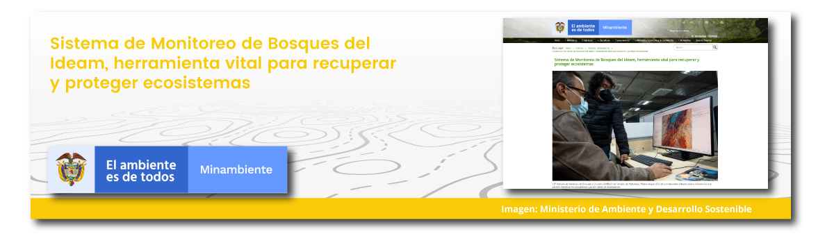 Sistema de Monitoreo de Bosques del Ideam, herramienta vital para recuperar y proteger ecosistemas
