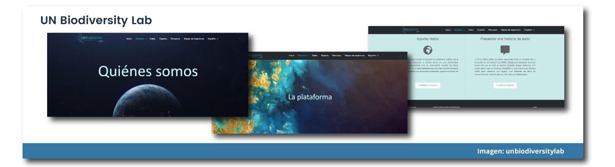 El UN Biodiversity Lab no es solo un sitio web más, es una plataforma en línea que permite a los responsables políticos y a otros usuarios acceder a capas de datos globales...