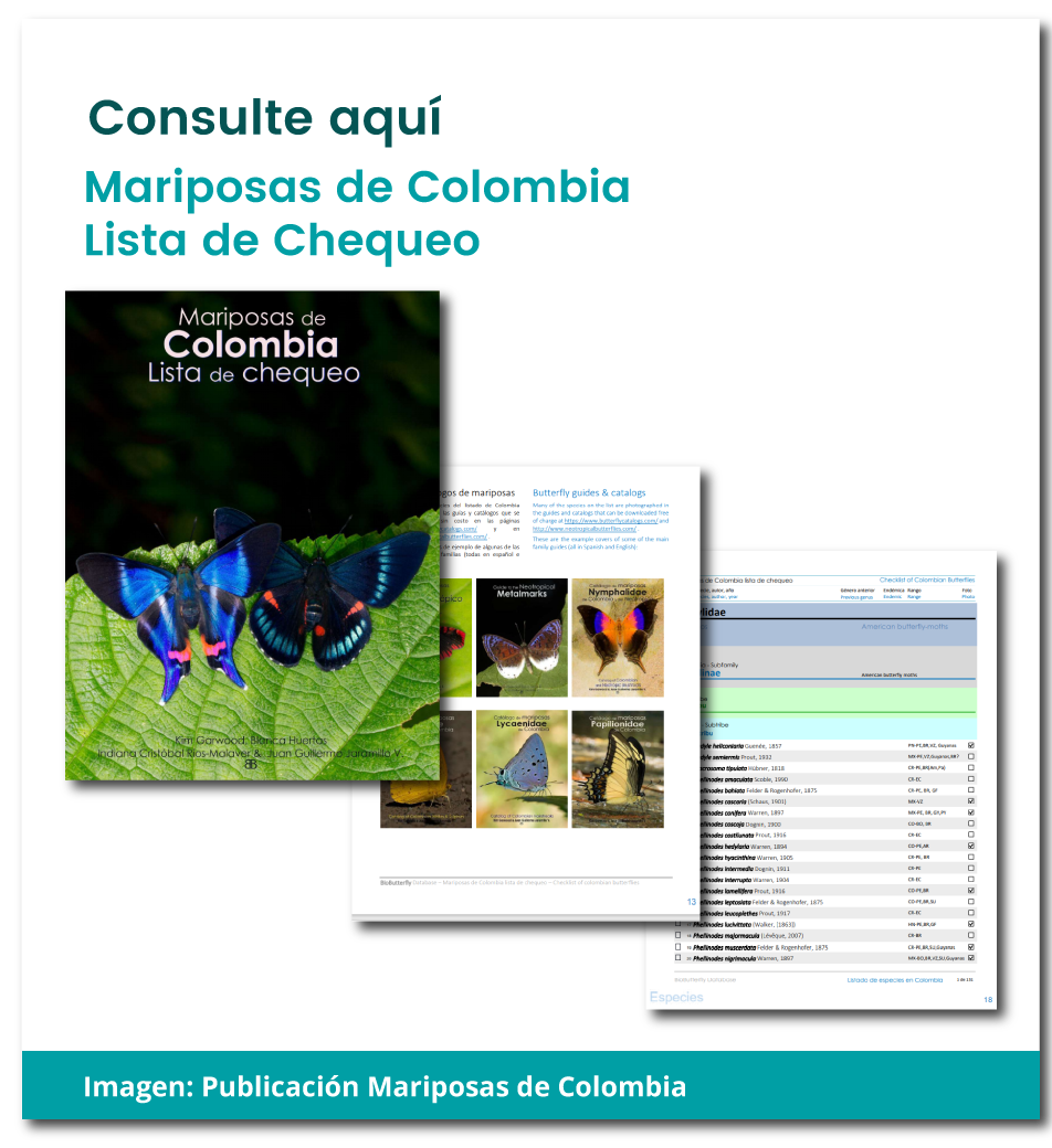 Consulte aqui mariposas de colombia - Lista de chequeo