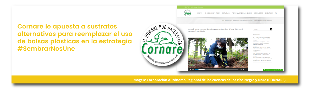 CORNARE le apuesta a sustratos alternativos para reemplazar el uso de bolsas plásticas en la estrategia de Sembratón