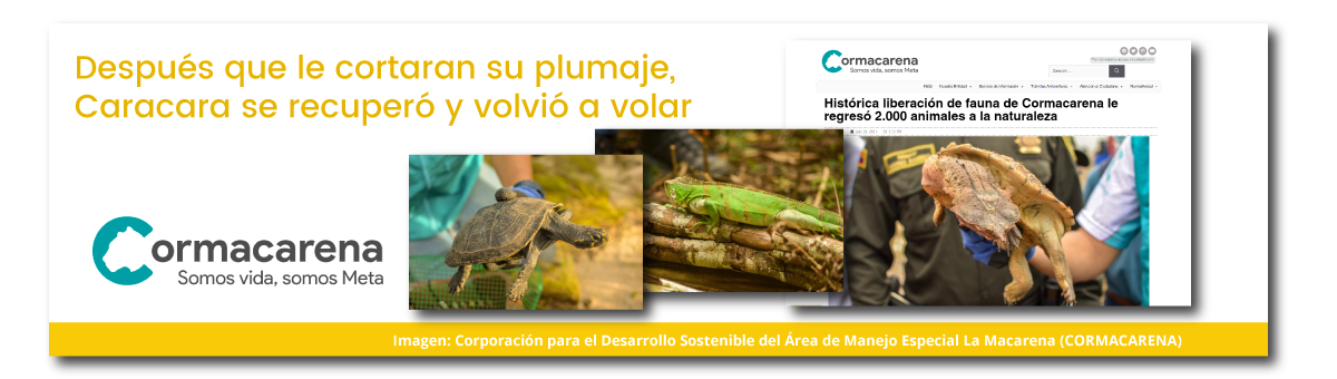 Histórica liberación de fauna de CORMACARENA