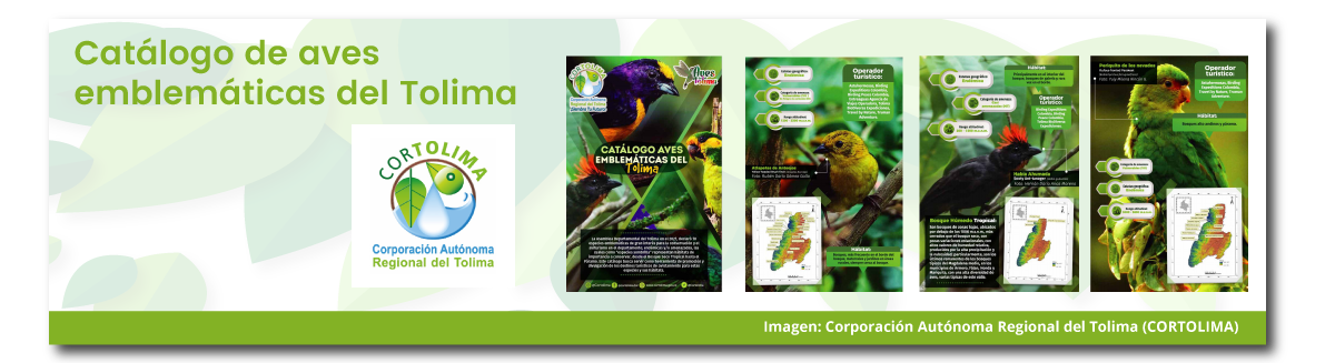 Catálogo de aves emblemáticas del Tolima