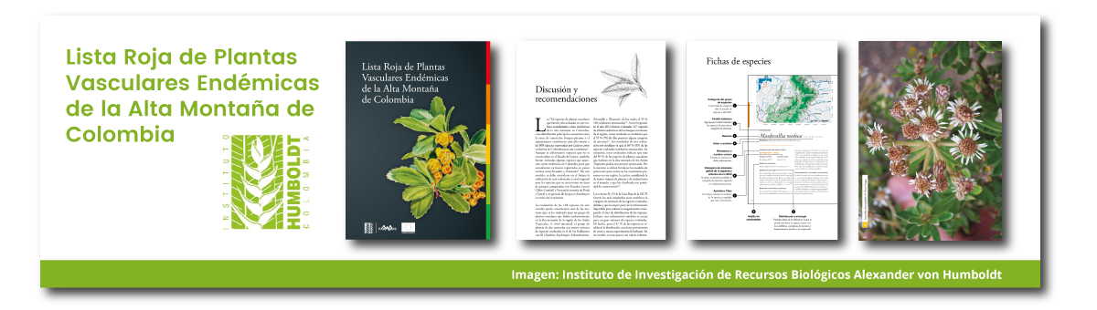 Lista Roja de Plantas Vasculares Endémicas de la Alta Montaña de Colombia