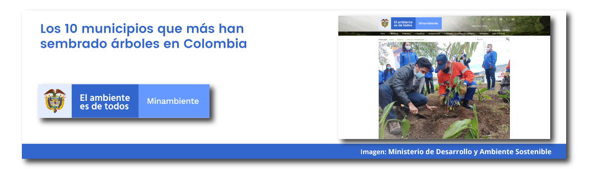 10 Municipios que más han sembrado arboles en Colombia