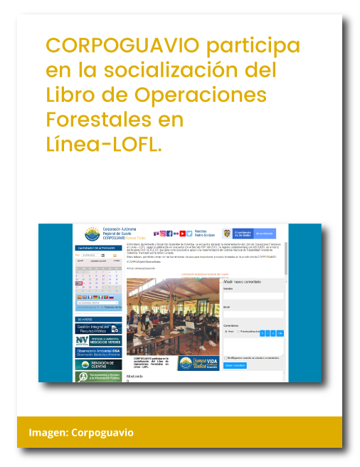 La vida se abre camino - Nacieron 116 neonatos de tortuga Carey