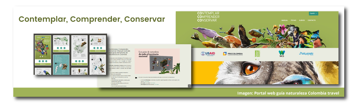 Manual ilustrado para guías de turismo en Colombia: Contemplar, Comprender, Conservar